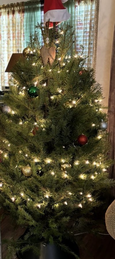 Photo of a Christmas tree decorated with white lights and green and red balls